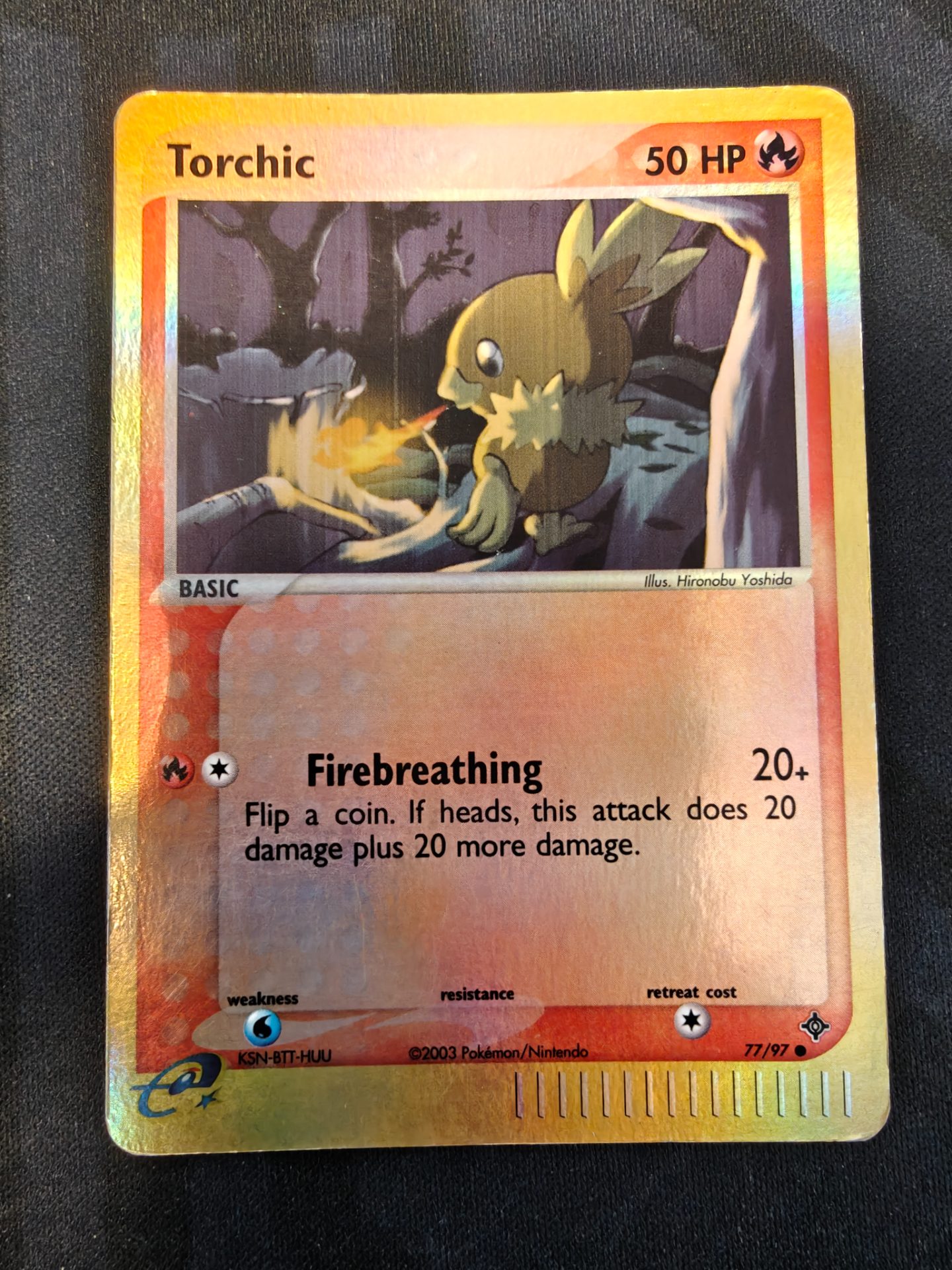 Torchic