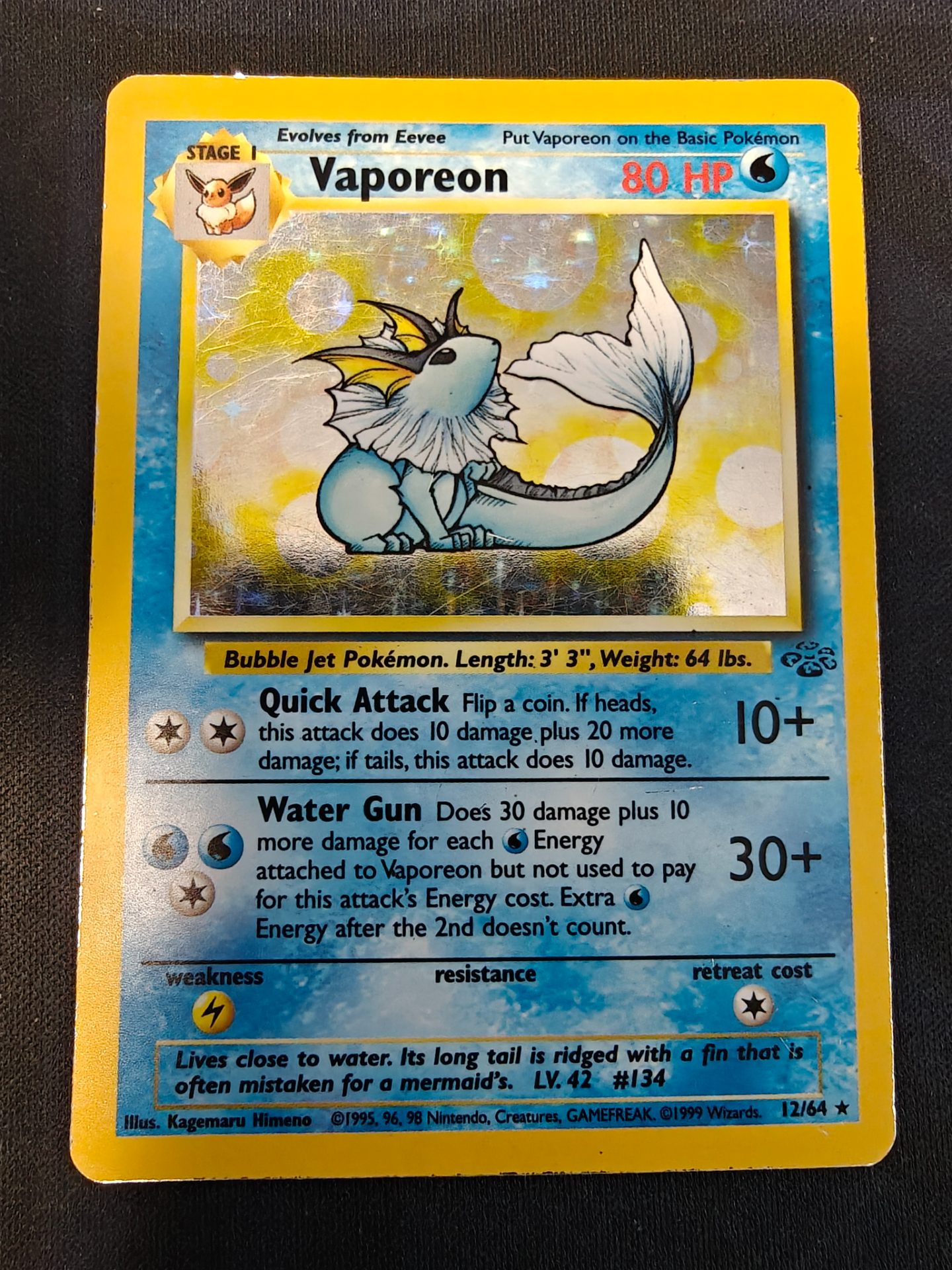 Vaporeon (12)