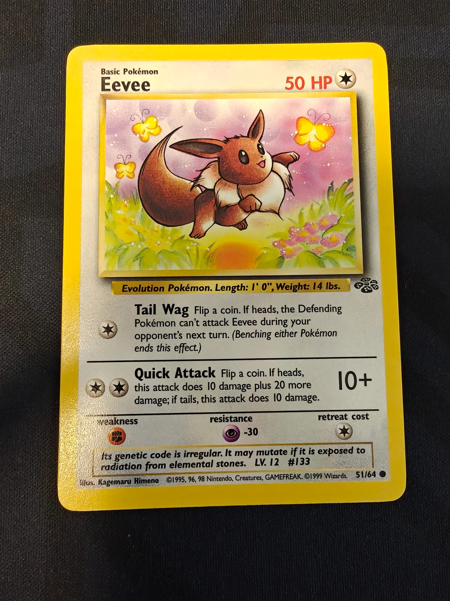Eevee